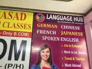 THE FOREIGN LANGUAGE HUB